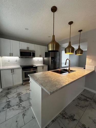 109 Robichaud Street, Fort Mcmurray, AB - Indoor Photo Showing Kitchen With Double Sink With Upgraded Kitchen