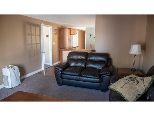 368 Grey Crescent, Fort Mcmurray, AB - Indoor Photo Showing Living Room