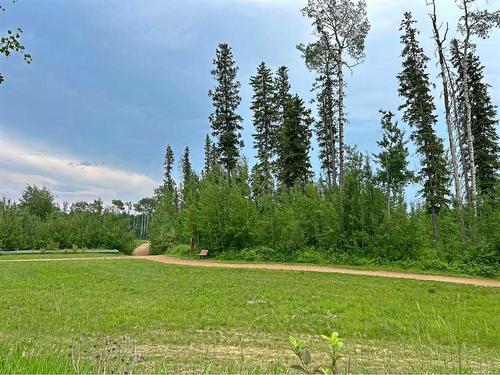 312 Burton Place, Fort Mcmurray, AB - Outdoor With View