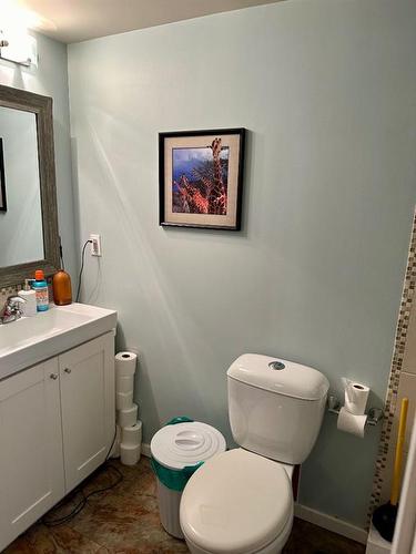 9324 91 Avenue, Lac La Biche, AB - Indoor Photo Showing Bathroom