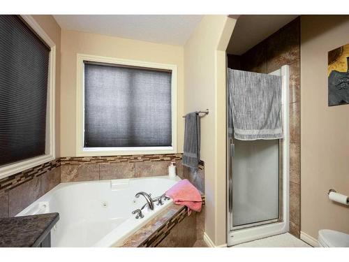 276 Gravelstone Road, Fort Mcmurray, AB - Indoor Photo Showing Bathroom