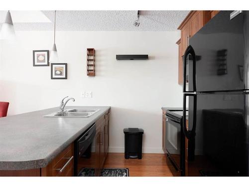 1216-204 Sparrow Hawk Drive, Fort Mcmurray, AB - Indoor Photo Showing Kitchen With Double Sink