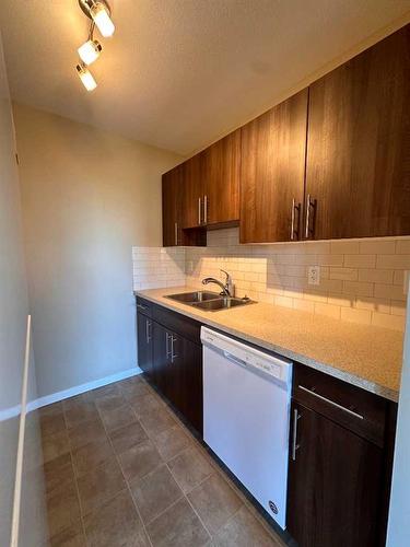 338-201 Abasand Drive, Fort Mcmurray, AB - Indoor Photo Showing Kitchen With Double Sink