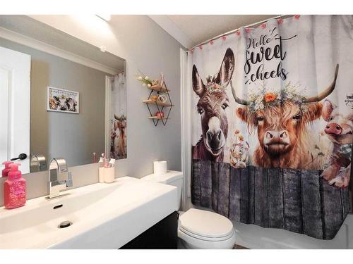 168 Belgian Green, Fort Mcmurray, AB - Indoor Photo Showing Bathroom