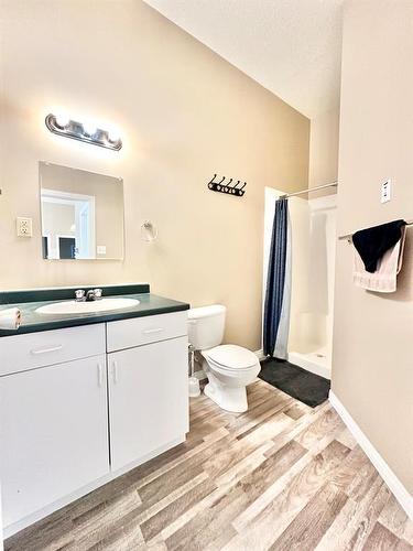 233-15249 Twp Rd 665A, Lac La Biche, AB - Indoor Photo Showing Bathroom