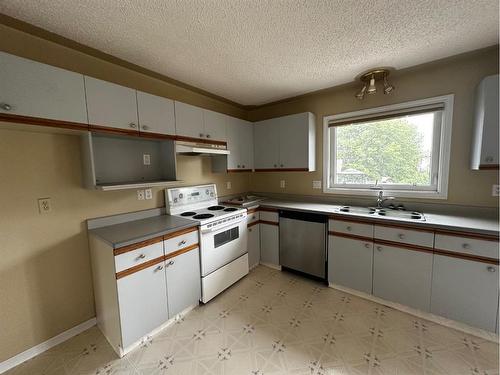 117 Bacon Place, Fort Mcmurray, AB - Indoor Photo Showing Kitchen With Double Sink