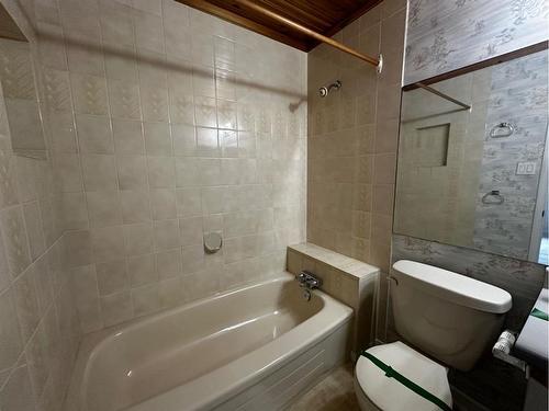 117 Bacon Place, Fort Mcmurray, AB - Indoor Photo Showing Bathroom