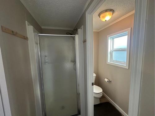 304 Ash Way, Fort Mcmurray, AB - Indoor Photo Showing Bathroom