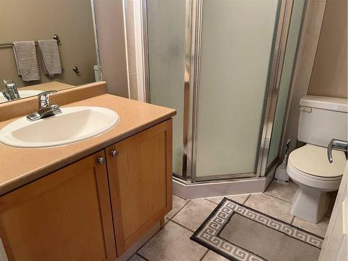 105-1095 Timberline Drive East, Fort Mcmurray, AB - Indoor Photo Showing Bathroom