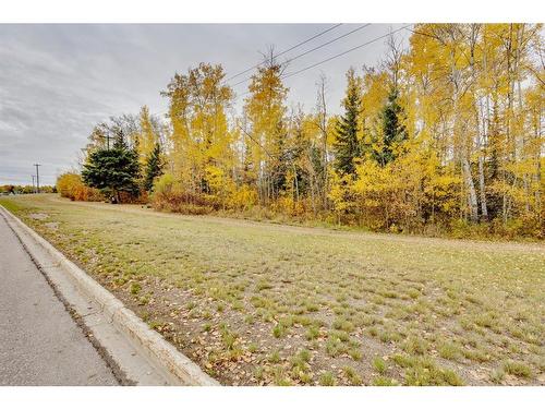 339 Cornwall Drive, Fort Mcmurray, AB - Outdoor With View