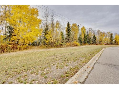 339 Cornwall Drive, Fort Mcmurray, AB - Outdoor With View