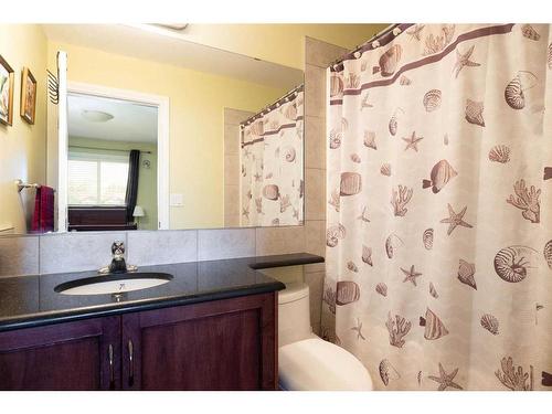 174 Grouse Way, Fort Mcmurray, AB - Indoor Photo Showing Bathroom