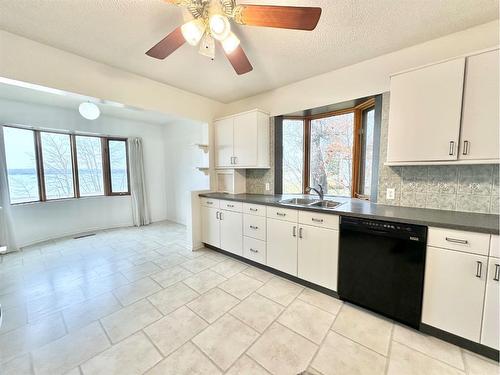 10205 105 Street, Lac La Biche, AB - Indoor Photo Showing Kitchen With Double Sink