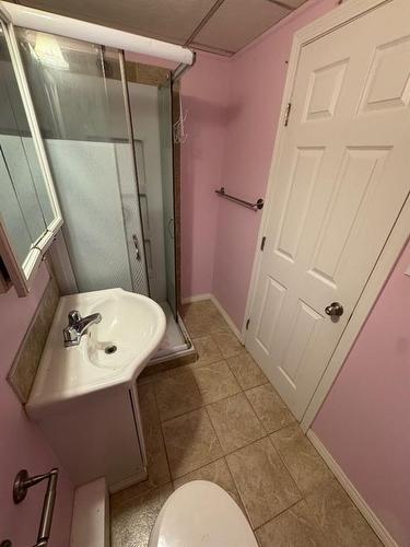 217 Hillcrest Drive, Fort Mcmurray, AB - Indoor Photo Showing Bathroom