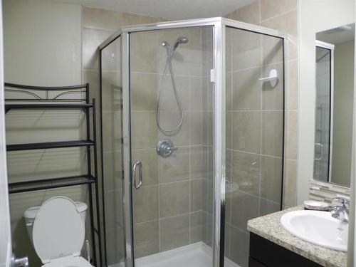 6-300 Sparrow Hawk Drive, Fort Mcmurray, AB - Indoor Photo Showing Bathroom