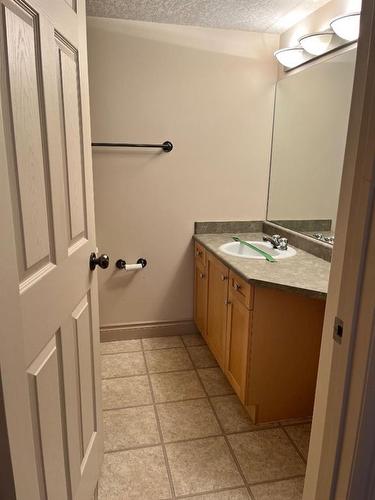 2201-38 Riedel Street, Fort Mcmurray, AB - Indoor Photo Showing Bathroom