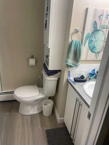 142 Wolverine Drive, Fort Mcmurray, AB - Indoor Photo Showing Bathroom