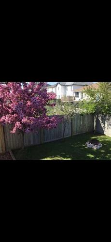 221 Paris Crescent Nw, Fort Mcmurray, AB - Outdoor