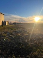 156 Mcghee Street  Fort Mcmurray, AB T9H 0H2