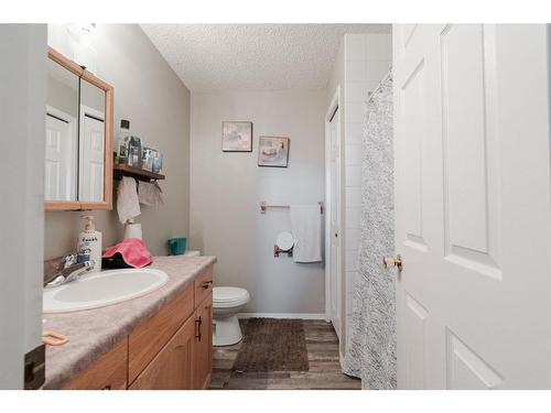 221 Sitka Drive, Fort Mcmurray, AB - Indoor Photo Showing Bathroom