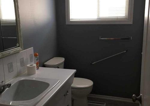 10314 101A Avenue, Lac La Biche, AB - Indoor Photo Showing Bathroom