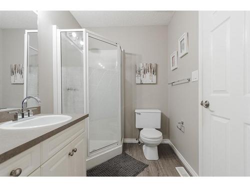 120 Sirius Avenue, Fort Mcmurray, AB - Indoor Photo Showing Bathroom