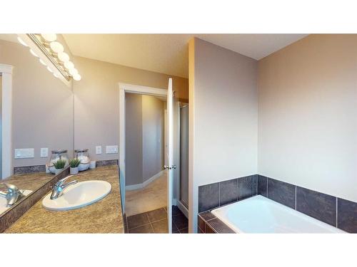 161 Trillium Road, Fort Mcmurray, AB - Indoor Photo Showing Bathroom