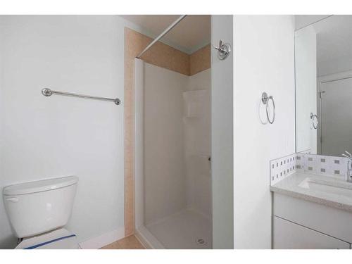 397 Collicott Drive, Fort Mcmurray, AB - Indoor Photo Showing Bathroom