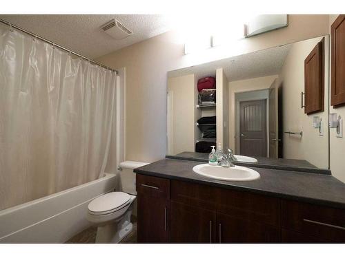 1415-204 Sparrow Hawk Drive, Fort Mcmurray, AB - Indoor Photo Showing Bathroom