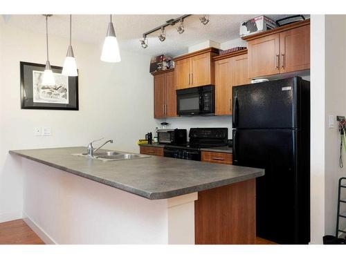 1415-204 Sparrow Hawk Drive, Fort Mcmurray, AB - Indoor Photo Showing Kitchen With Double Sink