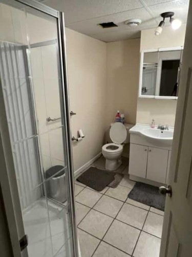 158 Poplar Drive Rr, Conklin, AB - Indoor Photo Showing Bathroom