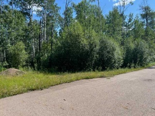 146 Poplar Drive Rr, Conklin, AB 