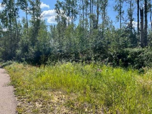 146 Poplar Drive Rr, Conklin, AB 