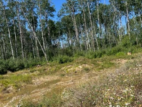 146 Poplar Drive Rr, Conklin, AB 