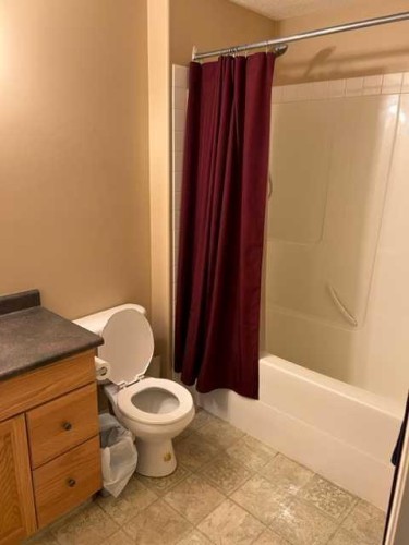 119 Poplar Drive Rr, Conklin, AB - Indoor Photo Showing Bathroom