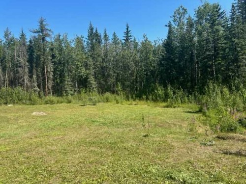 118 Poplar Drive Rr, Conklin, AB - Outdoor With View