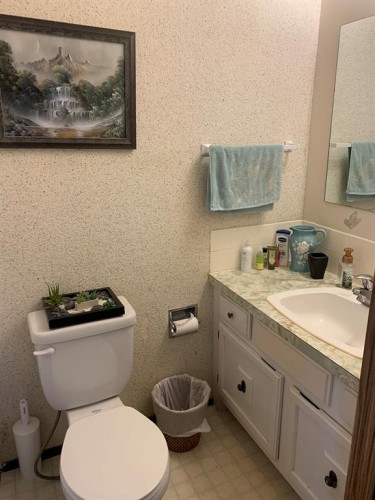 10016 102 Avenue, Lac La Biche, AB - Indoor Photo Showing Bathroom