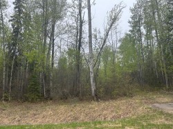 123 Poplar Drive Rr Drive  Conklin, AB T0P 1H0