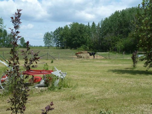 65471 152 Range, Hylo, AB 