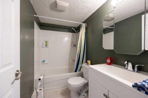 1053 Timberline Drive, Fort Mcmurray, AB - Indoor Photo Showing Bathroom