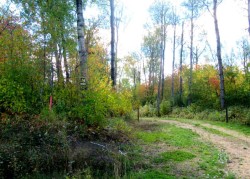 1520018 - 1 - 1 Poplar Point  Rural Lac La Biche County, AB T0A 2C0