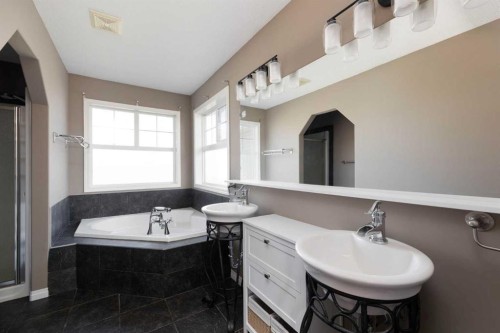 103 Rattlepan Creek Crescent, Fort Mcmurray, AB - Indoor Photo Showing Bathroom