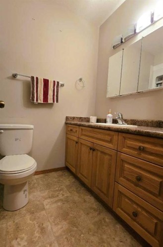 209-13441 Twp Rd 665A, Lac La Biche, AB - Indoor Photo Showing Bathroom