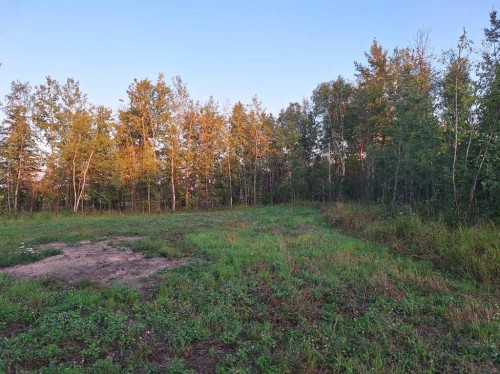 7-654036 Rge Rd 222, Athabasca, AB 