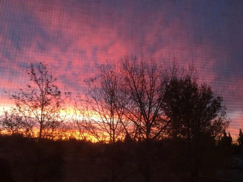 121 Brooks Place, Fort Mcmurray, AB - Outdoor With View