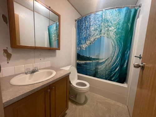 161 Grey Crescent, Fort Mcmurray, AB - Indoor Photo Showing Bathroom