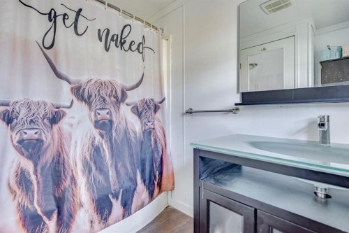 244 Cokerill Crescent, Fort Mcmurray, AB - Indoor Photo Showing Bathroom