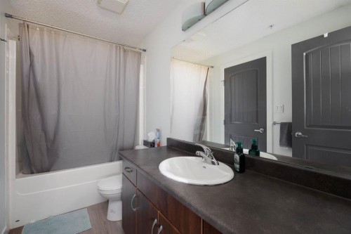406-136C Sandpiper Road, Fort Mcmurray, AB - Indoor Photo Showing Bathroom