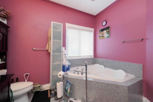 169 Fisher Crescent, Fort Mcmurray, AB - Indoor Photo Showing Bathroom