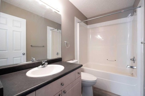 164 Cinnamon Street, Fort Mcmurray, AB - Indoor Photo Showing Bathroom